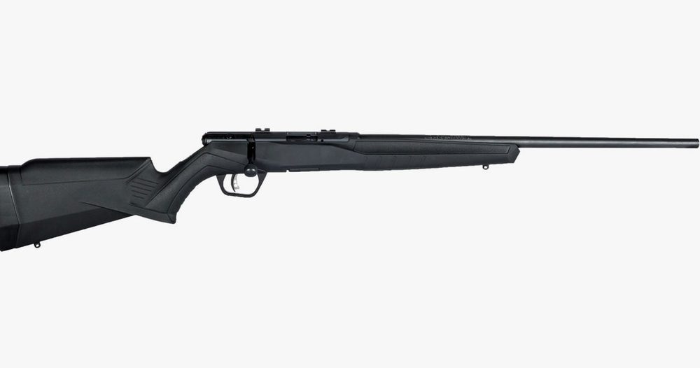 B17 F 17 HMR Bolt-Action Rifle