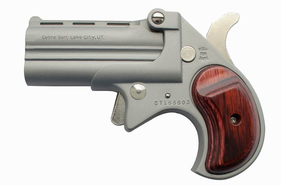 Big Bore 38 Special Derringer