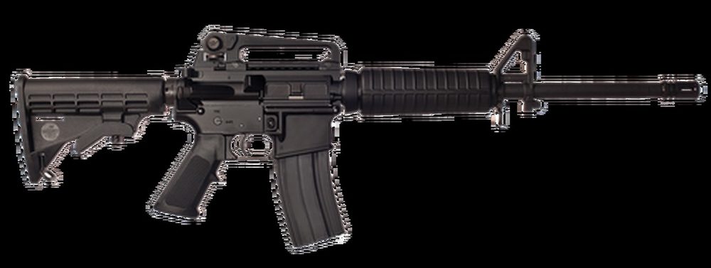 Bushmaster A3 Carbine .223/5.56 16" Barrel Detachable Carry Handle 30 Rd Mag