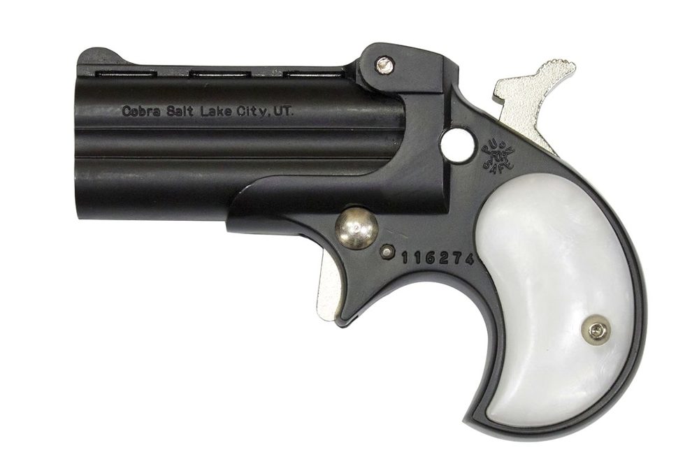 C22 22 Mag Derringer with Black Finish