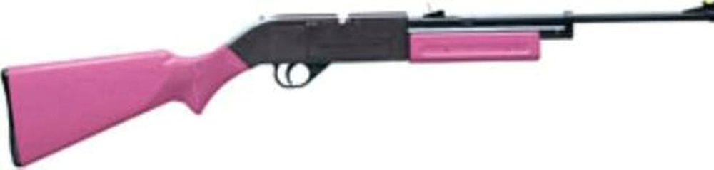 Crosman 760P .177 Air Rifle Pump, Black