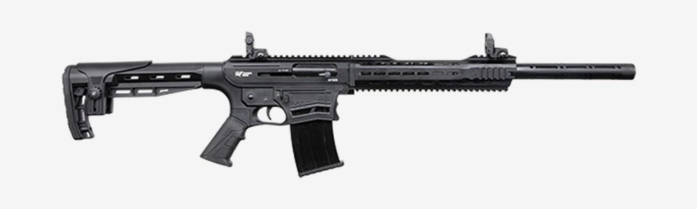 Gforce GF00 Sport AR-12 12 Ga, 20" Barrel, 3", Synthetic Stock, Black, 5rd