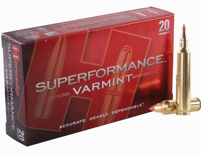 Hornady Superformance Varmint 204 Ruger Ammo 40 Grain Hornady V-Max Polymer Tip 500rounds