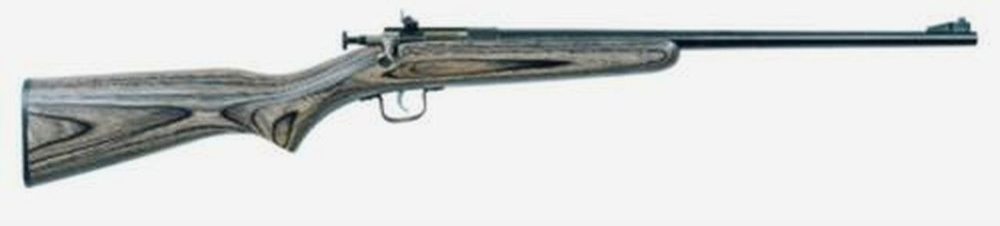 Keystone Crickett 22LR, 16.5", Laminated Blue