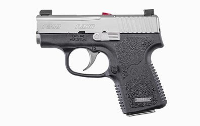 P380 380 ACP Pistol