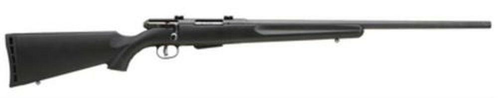 Savage Model 25 Walking Varminter .204 Ruger