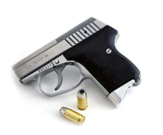 Seecamp LWS32 32 ACP Stainless Pistol
