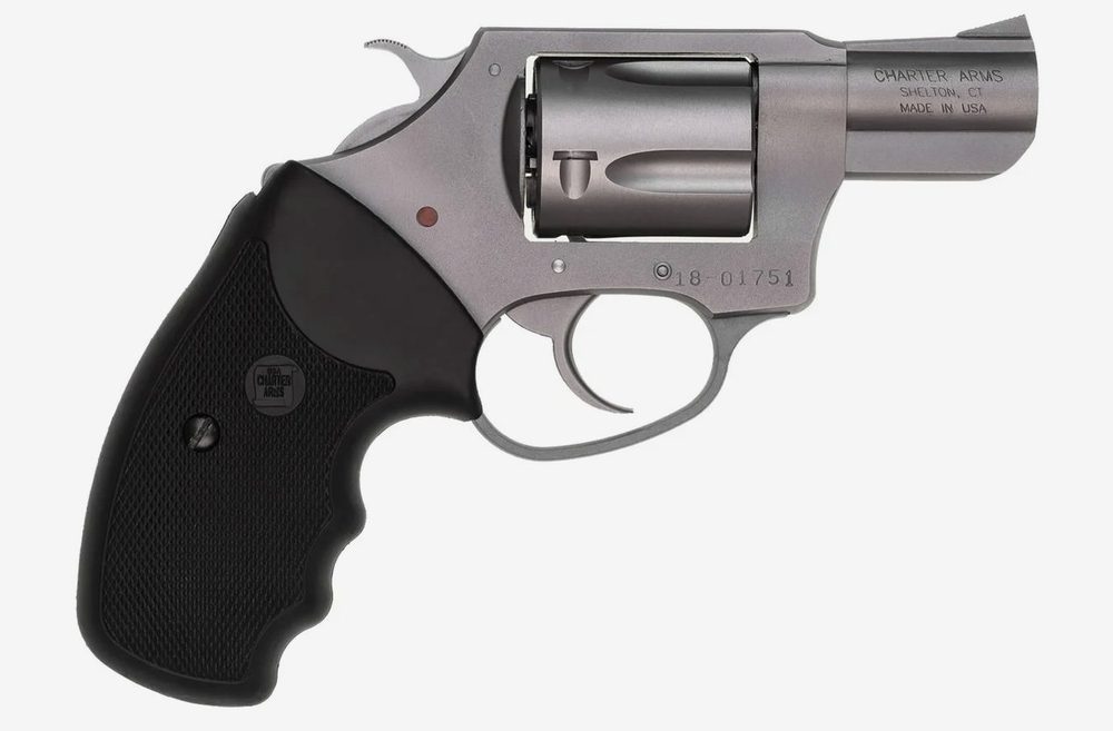 Undercover .38 Special Stainless Double-Action Revolver